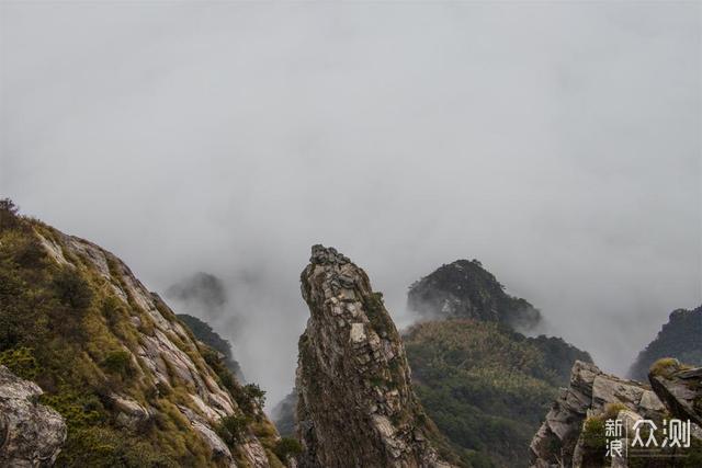 登庐山邂逅云海，如梦如幻宛若仙境_新浪众测