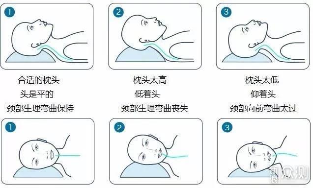 枕头你选对了吗？枕头横评告诉你哪款最适合你_新浪众测