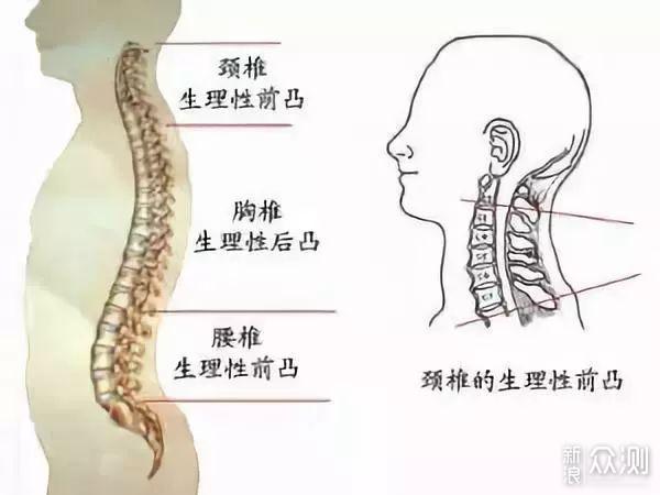 枕头你选对了吗？枕头横评告诉你哪款最适合你_新浪众测