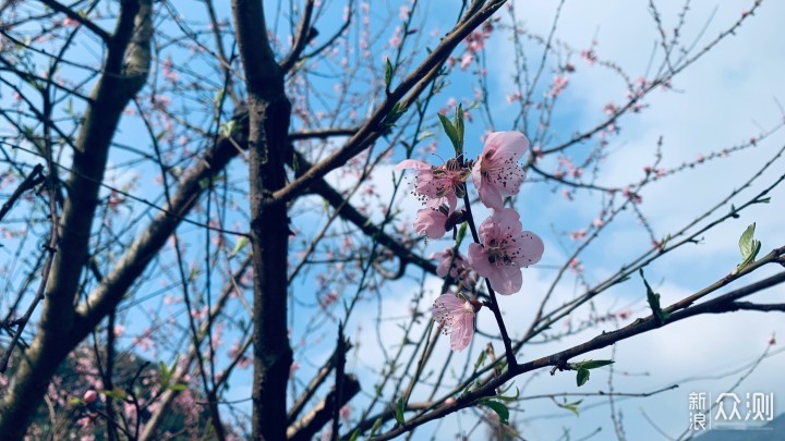 梅岭印象2：登顶洗药湖，踏春赏山色_新浪众测