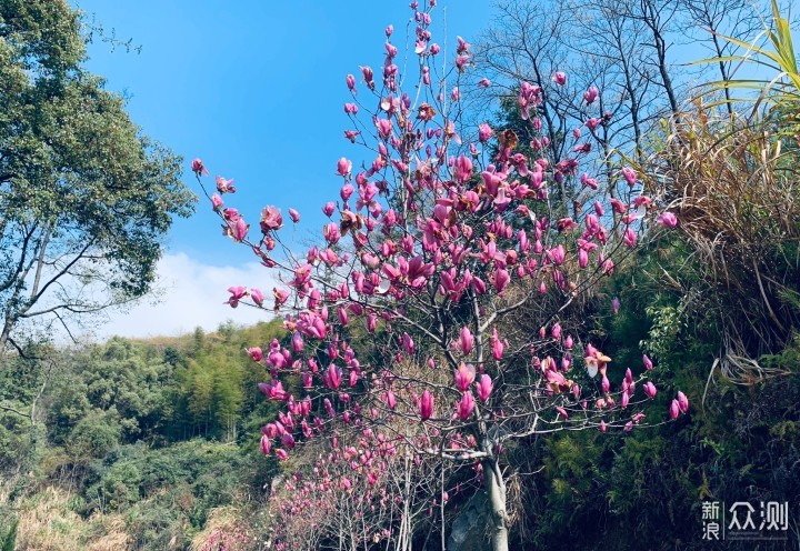 梅岭印象2：登顶洗药湖，踏春赏山色_新浪众测