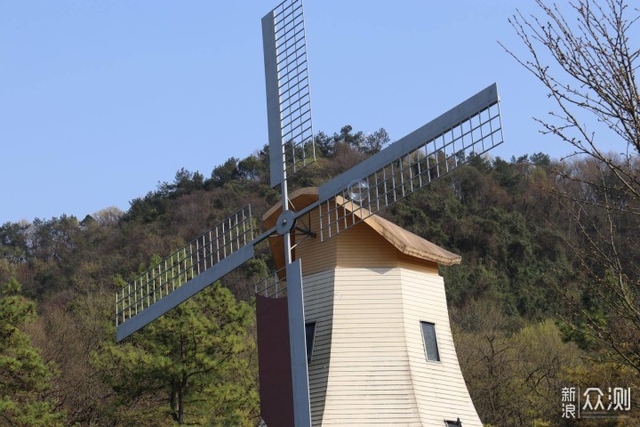 踏青正佳时，何不去太子湾公园赏花（附攻略）_新浪众测