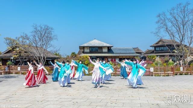 樱你而来，跟着摄影师镜头来看拈花湾的三月_新浪众测