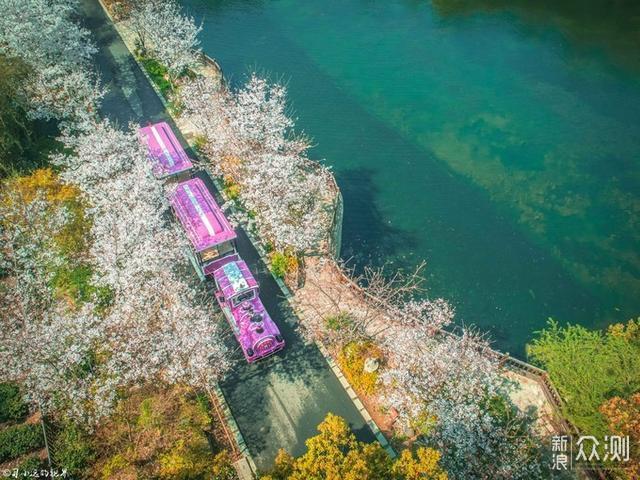 樱你而来，跟着摄影师镜头来看拈花湾的三月_新浪众测