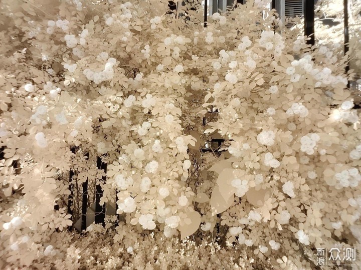 一眼One年，机皇Plus--OnePlus 8 Pro评测_新浪众测