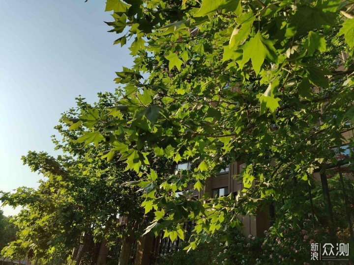 一眼One年，机皇Plus--OnePlus 8 Pro评测_新浪众测