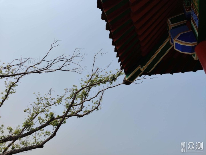 一眼One年，机皇Plus--OnePlus 8 Pro评测_新浪众测