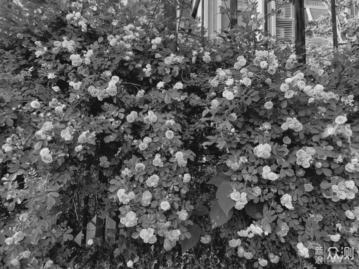 一眼One年，机皇Plus--OnePlus 8 Pro评测_新浪众测