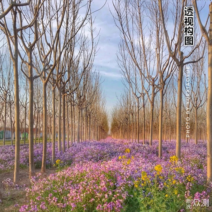 手机拍风景｜用好“透视线”突出“距离感”_新浪众测