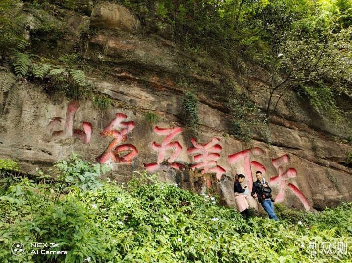 问道青城山，风景不容错过_新浪众测