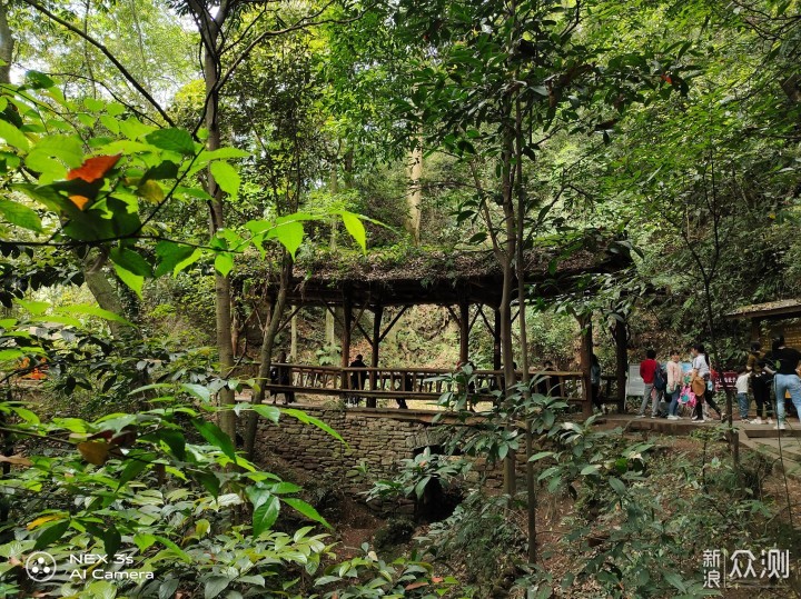 问道青城山，风景不容错过_新浪众测