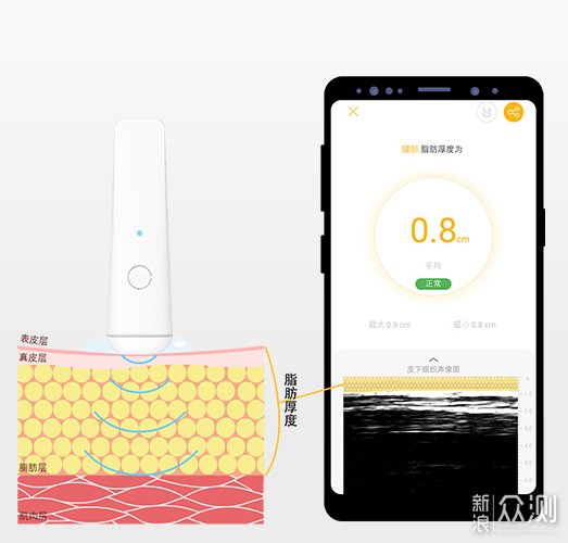 别装瘦了，Belly Fit脂肪厚度仪助你精准减脂_新浪众测