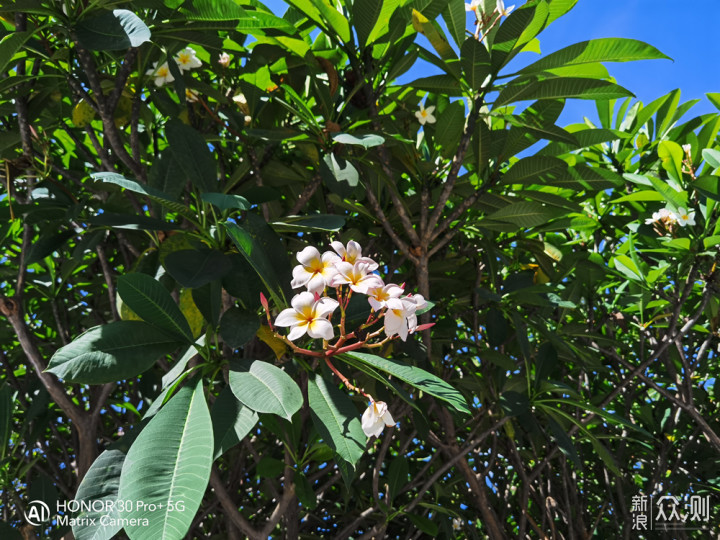 麒麟990 5G芯片，荣耀30 PRO+上手体验！_新浪众测