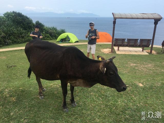 户外露营怎么玩，新手小白的成长之路！_新浪众测