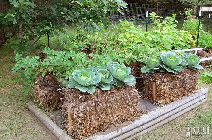 用稻草秆、秸秆制作花床，种蔬菜、养开花植物，好看又实用的创意