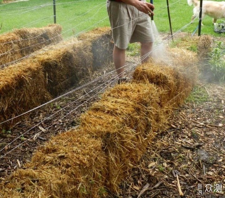 用稻草秆、秸秆制作花床，种蔬菜、养开花植物，好看又实用的创意