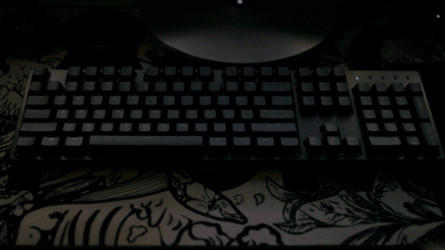 上帝说，要有光，于是我买了杜伽 RGB茶轴键盘_新浪众测