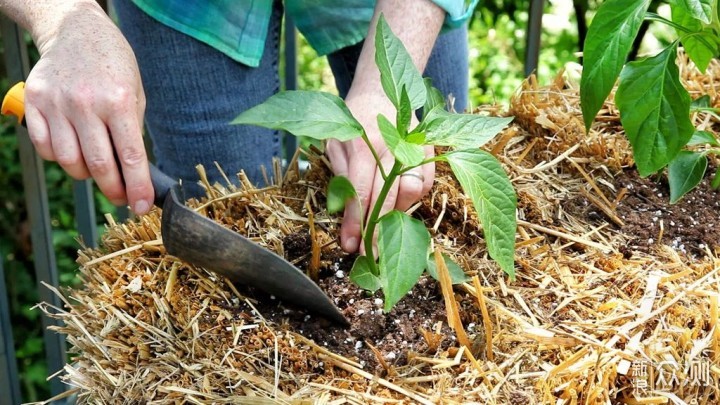 用稻草秆、秸秆制作花床，种蔬菜、养开花植物，好看又实用的创意