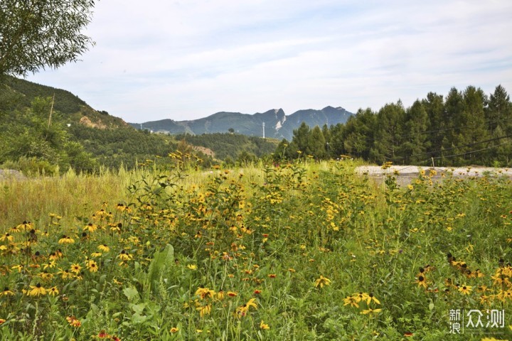 周末去哪里？京西小西藏走山脊、住木屋、采蘑菇、吃山野菜