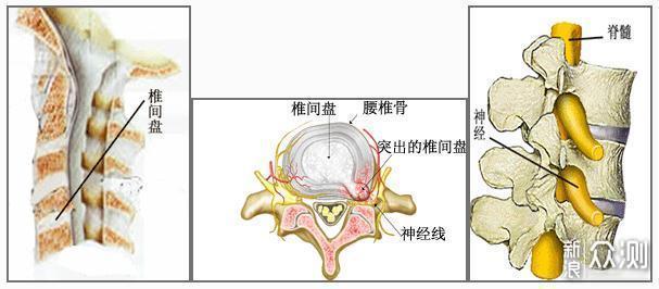 @上班族丨你，坐「错」了吗！（内附多视频） _新浪众测