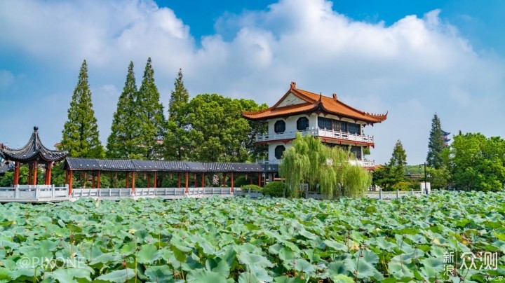 嘉兴除了乌镇的小众玩法，一般人我不告诉他！_新浪众测