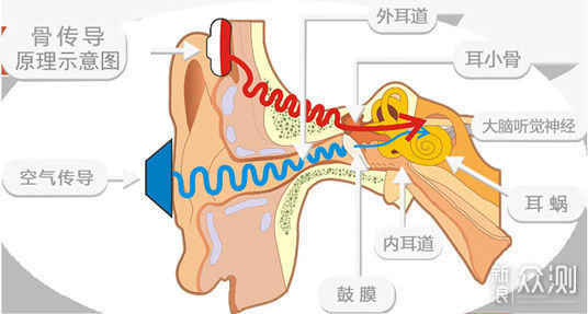 韶音骨传导耳机OpenMove，激发更多运动热情_新浪众测