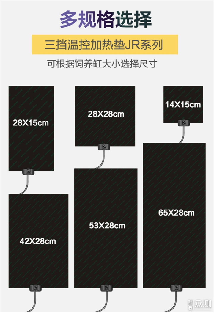 如何饲养一只豹纹守宫，爬宠爱好入门（中集）_新浪众测