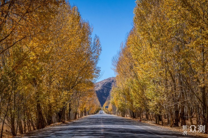 #初秋#西藏旅行，从浓妆艳抹的秋色开始_新浪众测