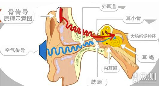 新国货之光：韶音OPENMOVE骨传导蓝牙耳机评测_新浪众测