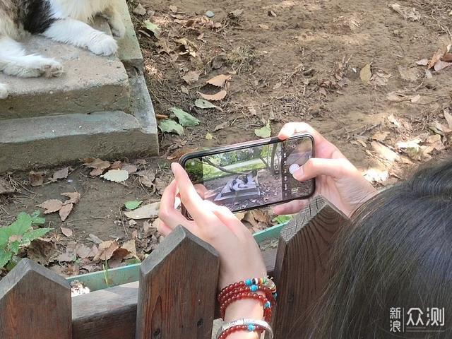 手机摄影|不仅是旅游照，手机挑战单反相机_新浪众测