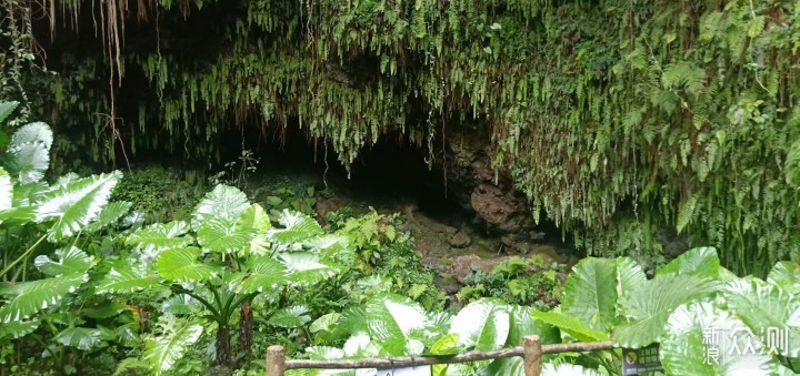 #大玩家#海口火山口地质公园一日游_新浪众测