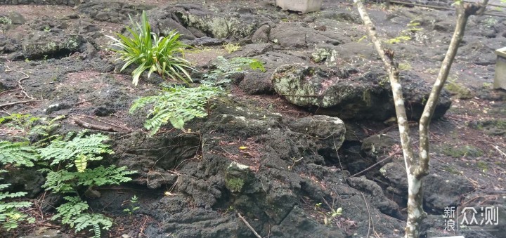 #大玩家#海口火山口地质公园一日游_新浪众测