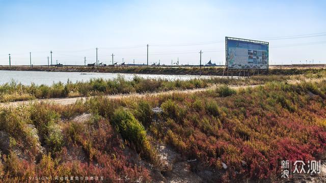 环渤海海岸带上，有一条绵延76千米的古贝壳堤_新浪众测