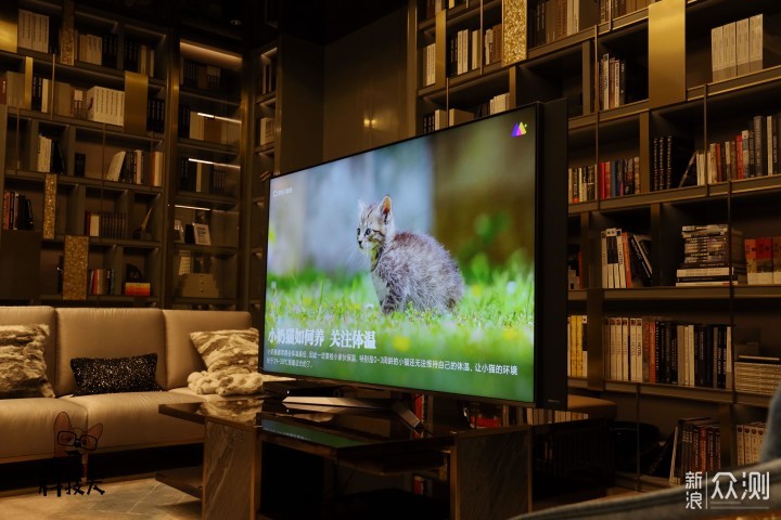 巨屏8K电视对比真4K投影仪，沉浸式观影谁更好_新浪众测
