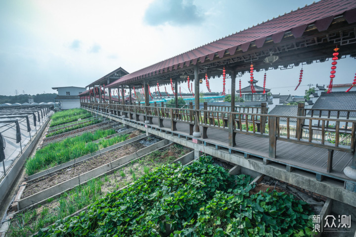 自驾郎溪,48小时摄影采风,记录不一样的美景_新浪众测