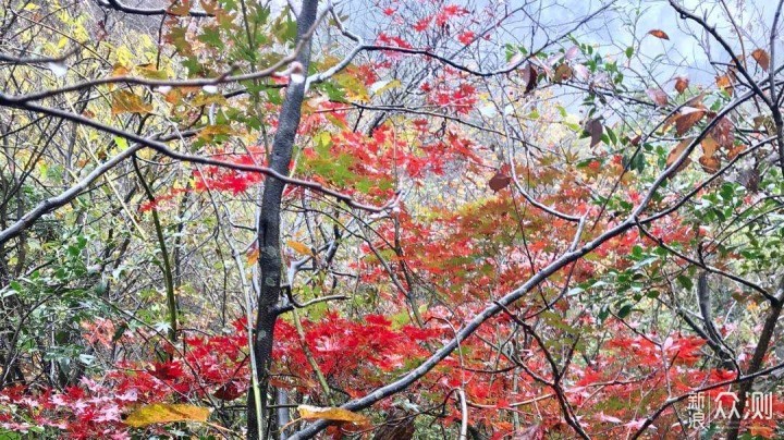 庐山印象之九，秋日再走好汉坡、小天池_新浪众测