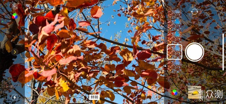 iPhone 12 Pro镜头下的秋色：艳丽起来也不错_新浪众测