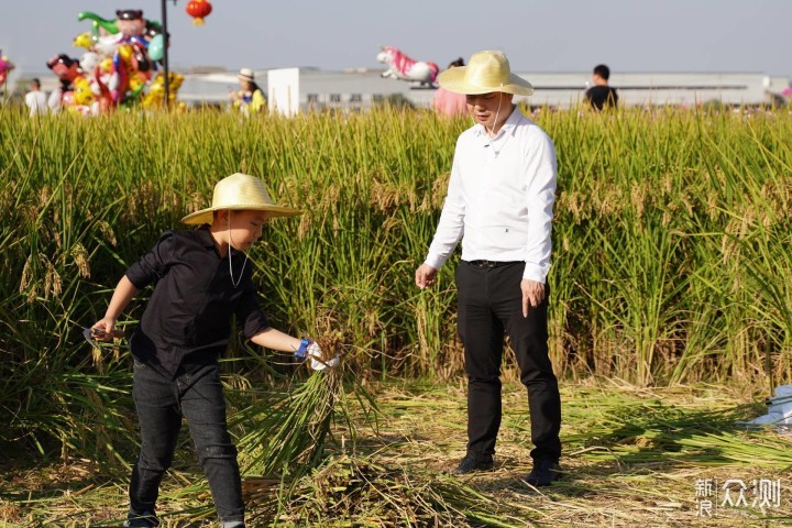 以“稻”为媒以节会友 富阳渔山乡