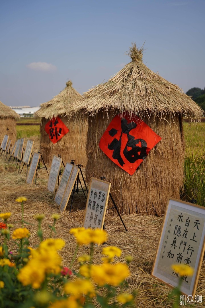 以“稻”为媒以节会友 富阳渔山乡