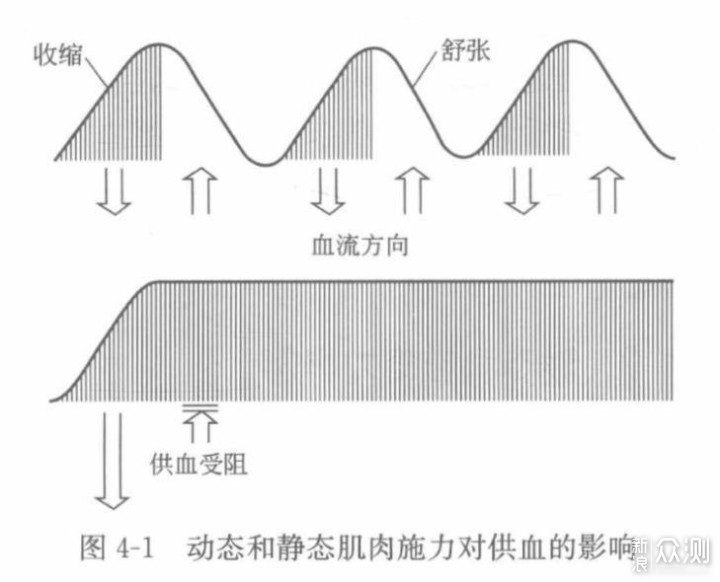 完全可调，新电竞人体工学椅享耀家X5不一般_新浪众测