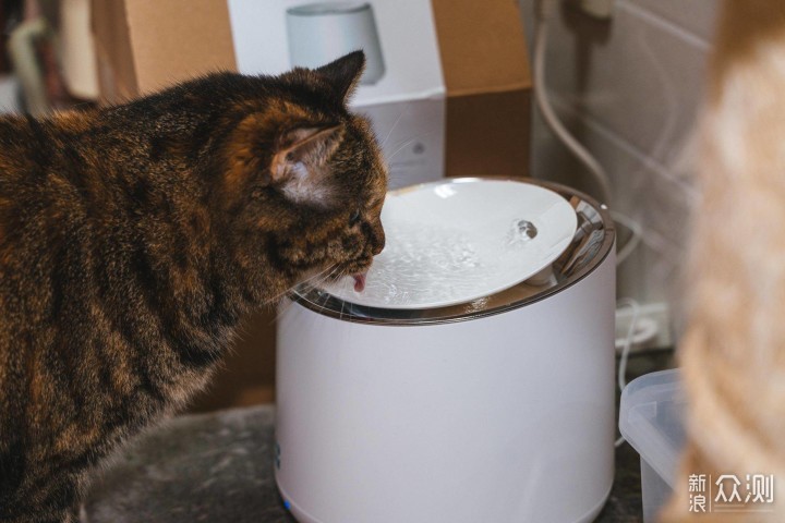 宠物喝水有学问，嗷喵喵宠物智能饮水机评测_新浪众测