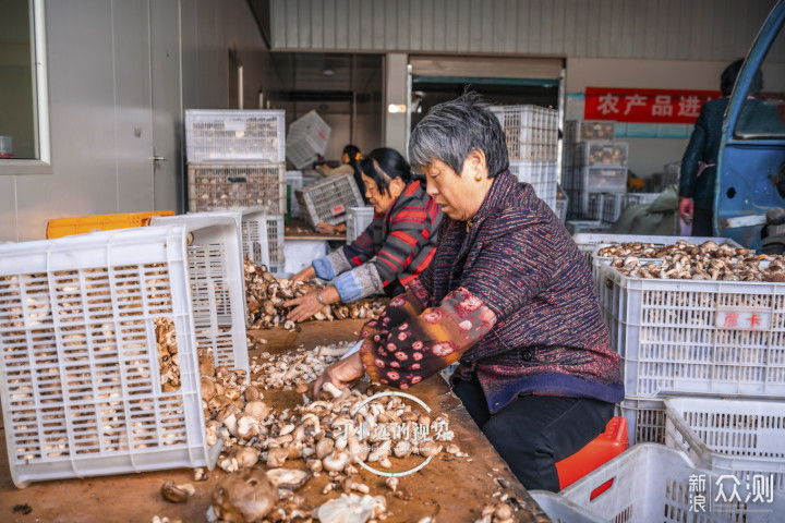 相机为笔，秋色做纸，自驾金寨的多彩记忆小记_新浪众测