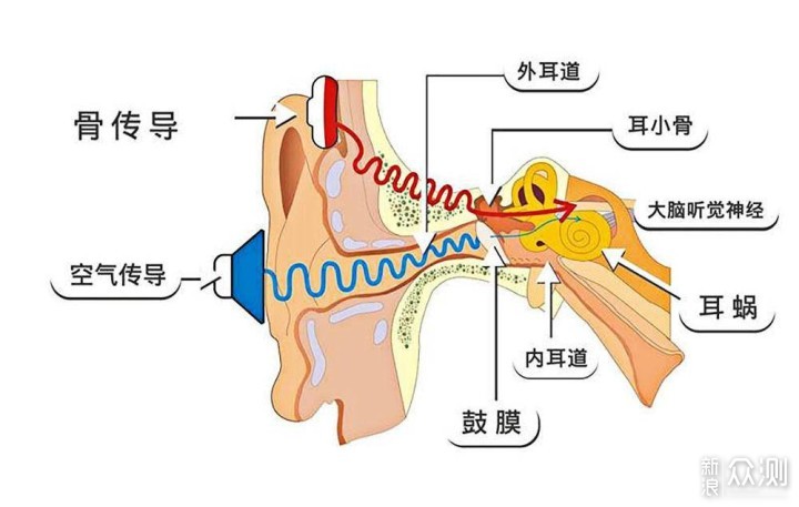 韶音OpenMove骨传导耳机，改变人类聆听方式_新浪众测