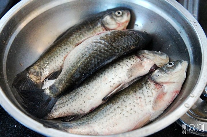 今日大雪，这5种鱼常做给家人吃，滋补不上火_新浪众测