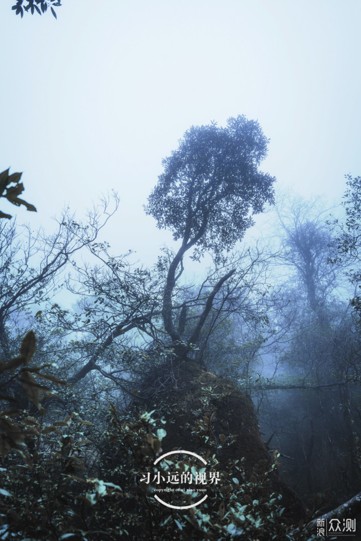 风雨兼程，遇见江西这边风景独好_新浪众测