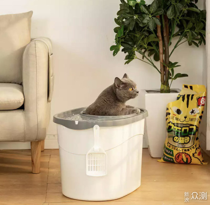 迎接猫猫回家：新手养猫必备物品_新浪众测