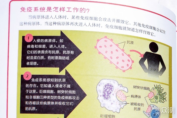 让自己和孩子加倍享受阅读快乐时光的12部童书_新浪众测