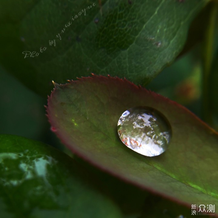 普通场景，如何拍出感觉？学会拿捏“细节”_新浪众测