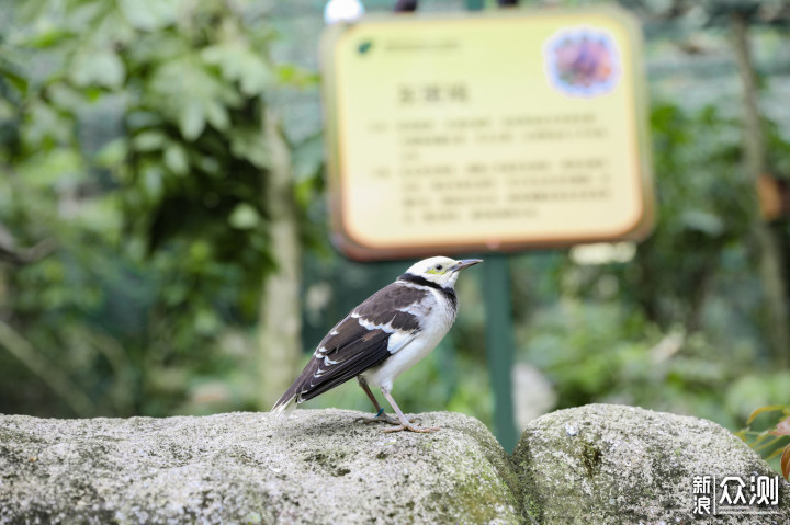 三亚 | 五天四晚环岛旅游攻略 美食推荐_新浪众测