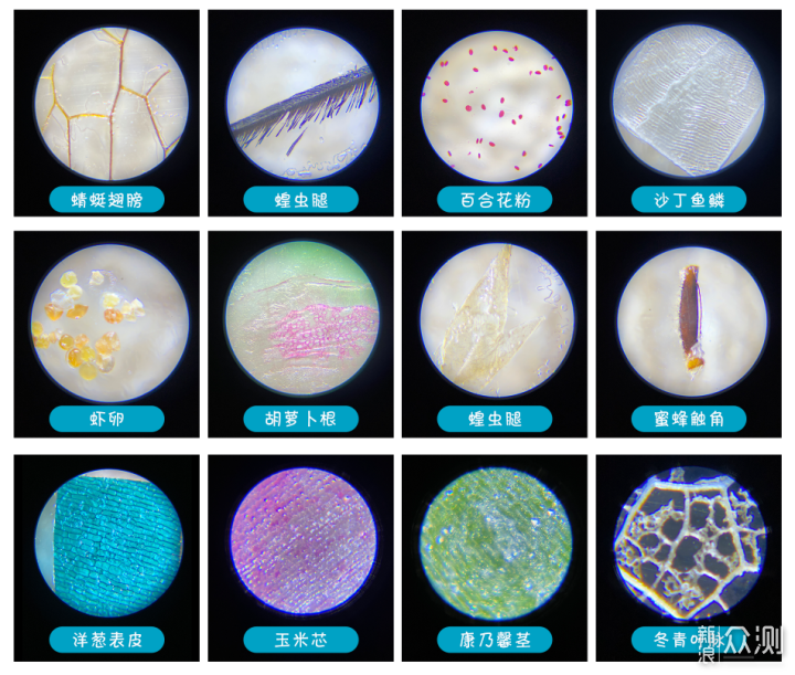 熊孩子一招制敌~消磨时光的益智手工游戏礼物_新浪众测